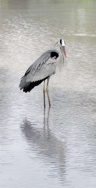 Macana — Nature, photograph by Gianluca Attura