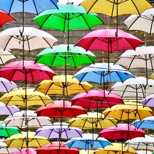 Umbrellas — Things, photograph by Gianluca Attura